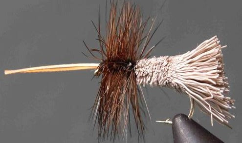 Goddard Caddis