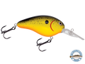 Dive Master 14