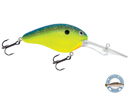 Dive Master 20