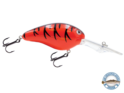 Dive Master 20