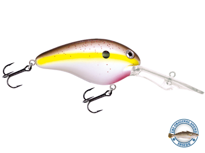 Dive Master 20