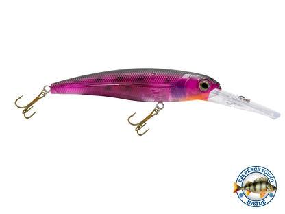 Voyager 15 Walleye