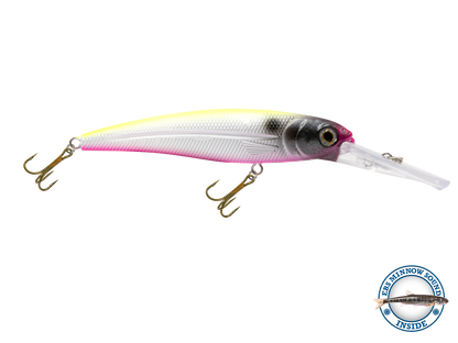 Voyager 15 Walleye