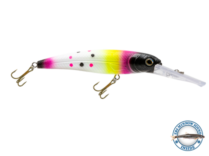 Voyager 15 Walleye
