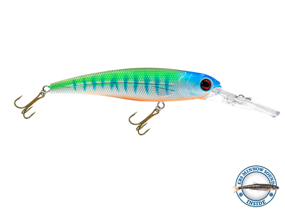 Voyager 15 Walleye