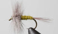 Blue Wing Olive