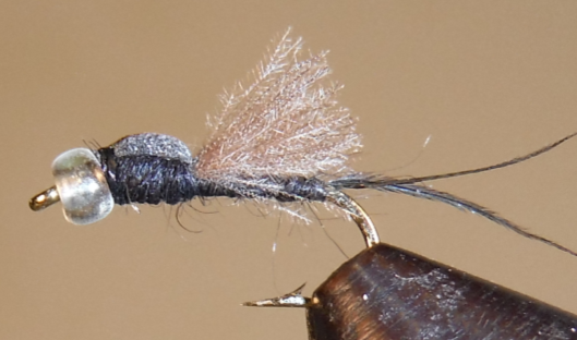 Foam Top Midge