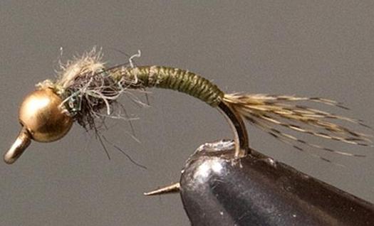 BH Olive WD-40