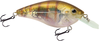 Primetyme CB 1.5