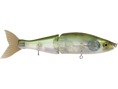 B Venom 6"