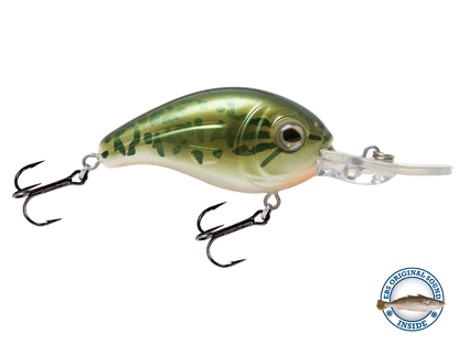 Dive Master Jr 8