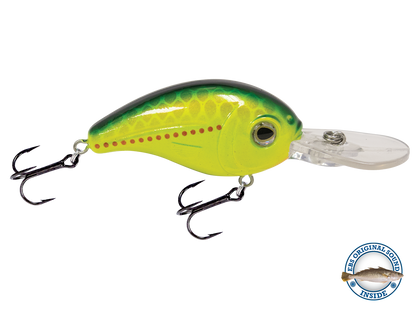 Dive Master Jr 8