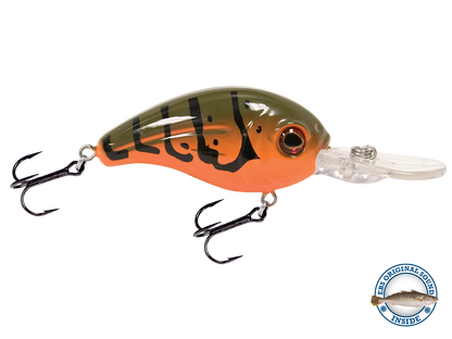 Dive Master Jr 8