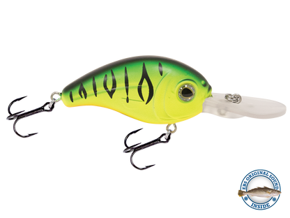 Dive Master Jr 8