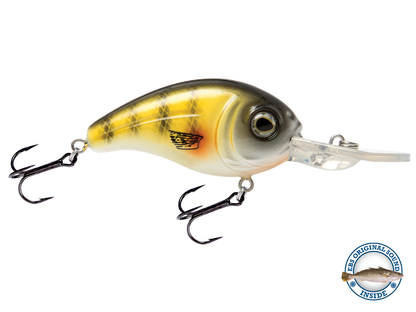Dive Master Jr 8