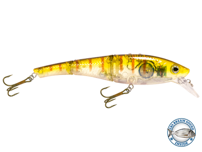 Head Hunter 6"
