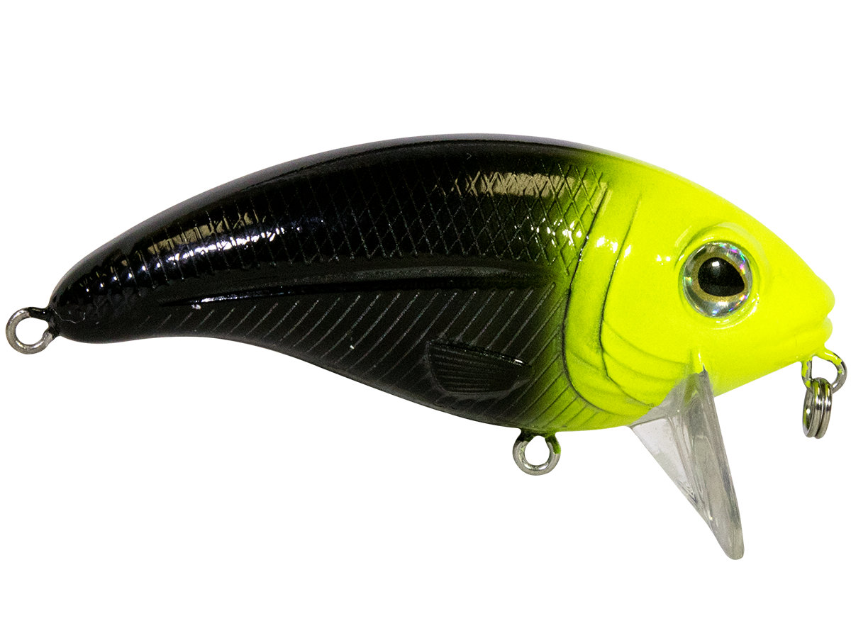 Bull Nose