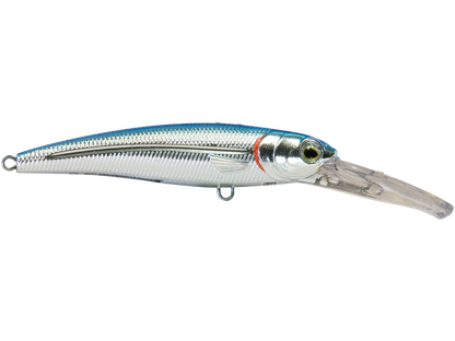 Voyager