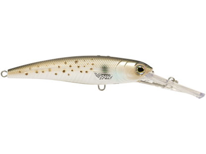 Voyager