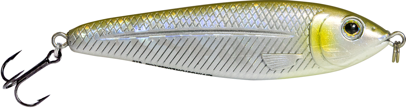 EBS Jigging Spoon