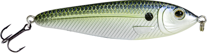 EBS Jigging Spoon