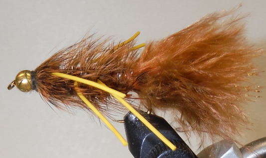 BH Woolly Bugger