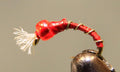 Barbed Wire™ - Midge
