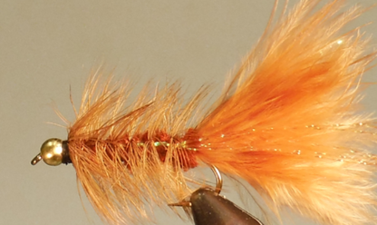 BH Woolly Bugger
