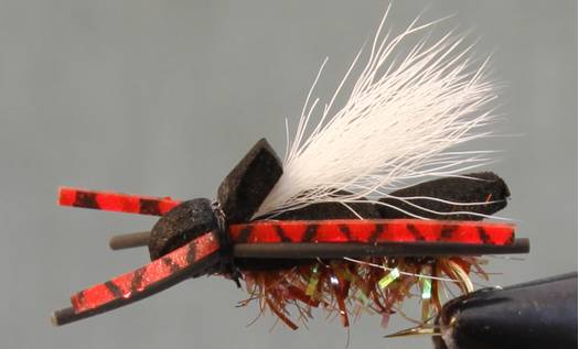 Black Foam Cicada