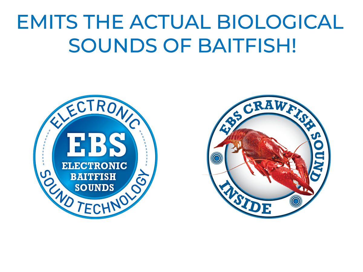 EBS Jigging Spoon