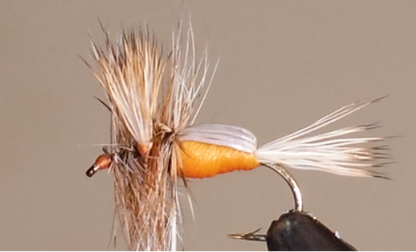 Humpy - 8 Colors