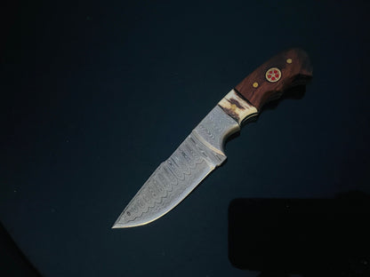 DAMASCUS STEEL FIXED BLADE KNIFE WITH WALNUT & STAG HORN HANDLE HUNTING KNIFE MINI TD-159X