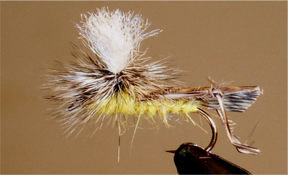 Parachute Hopper