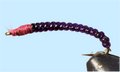 Rock Worm / Annelid - Red or Purple