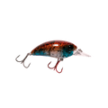 Seeker 6